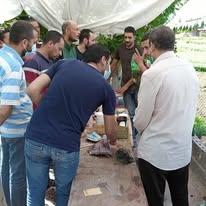 معرض الصور